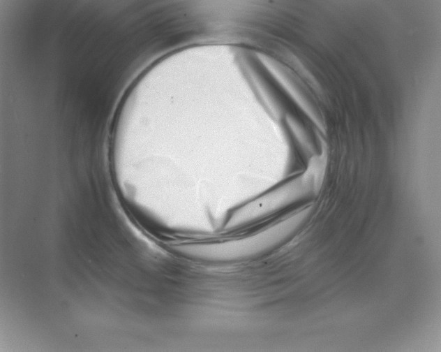 X0000074211484200609221928