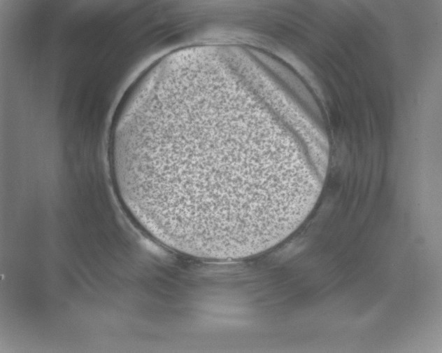 X0000074211486200609221928