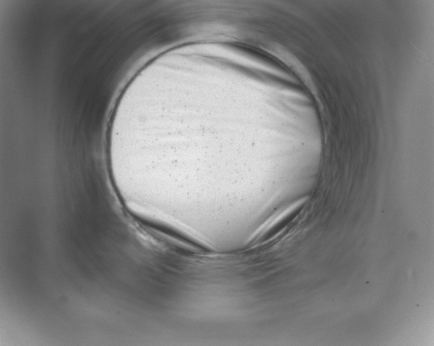 X0000074211488200609221928