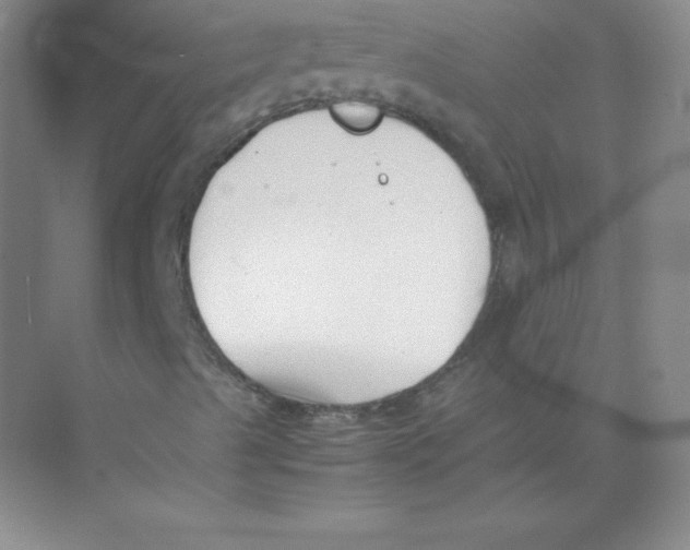 X0000074211489200609221928