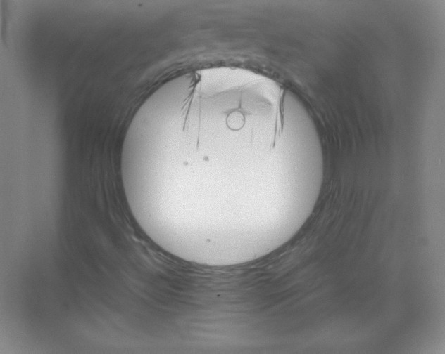 X0000074211492200609221928