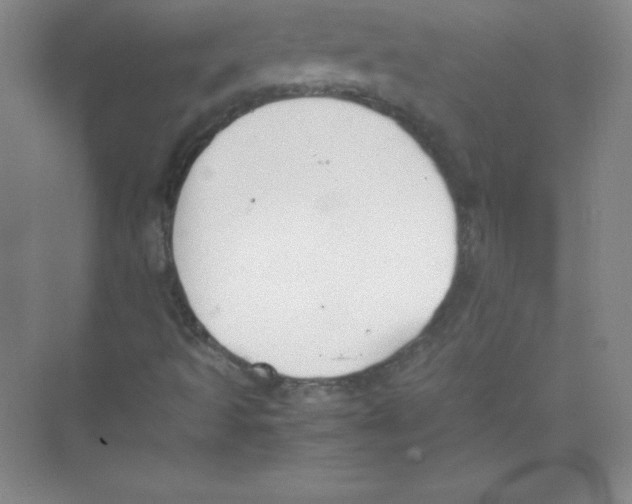 X0000074211493200609221928