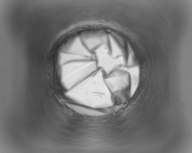 X0000074211494200609221928