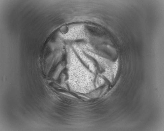 X0000074211497200609221928