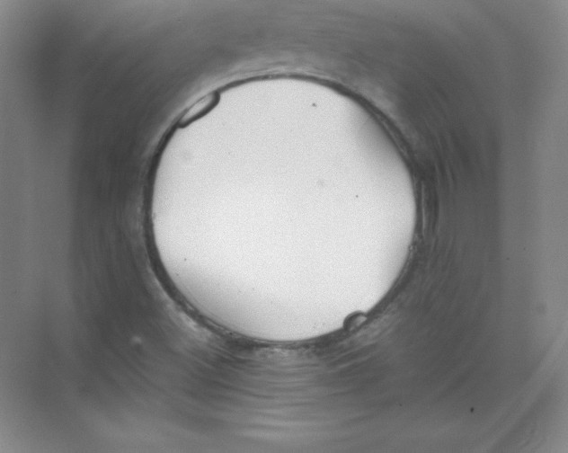 X0000074211500200609221928