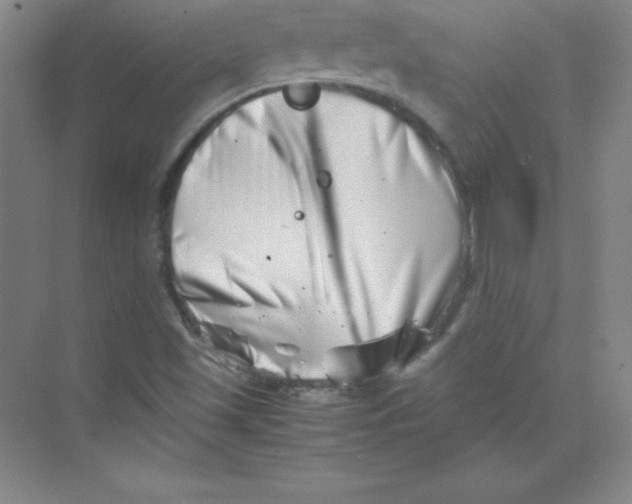 X0000074211501200609221928