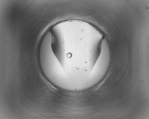 X0000074211502200609221928