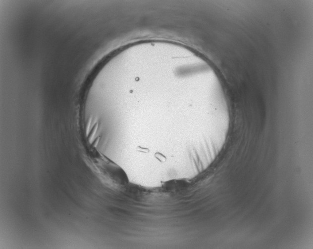 X0000074211503200609221928