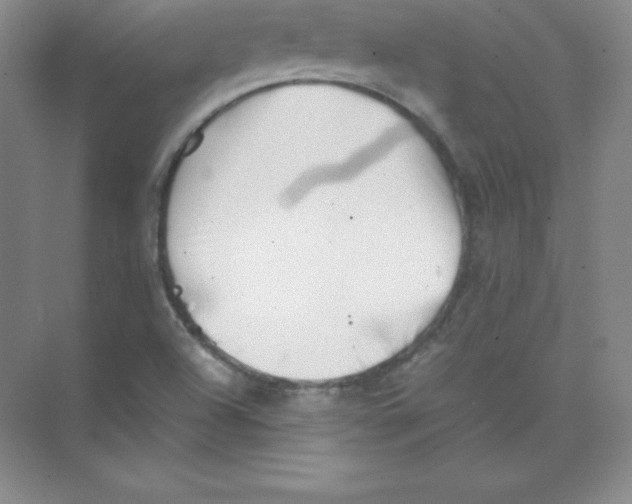 X0000074211504200609221928