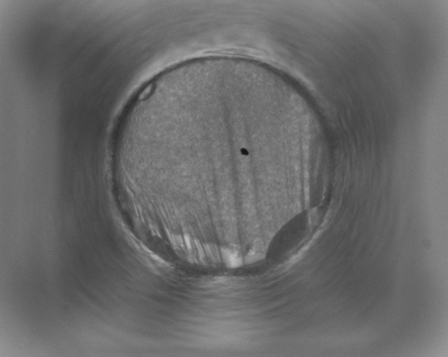 X0000074211506200609221928