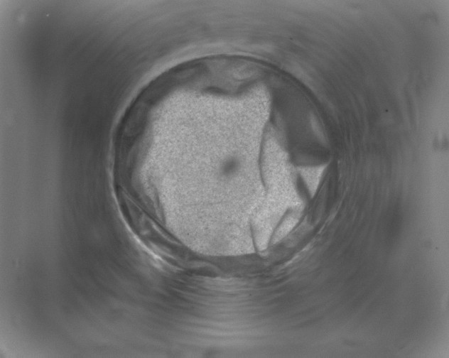 X0000074211508200609221928