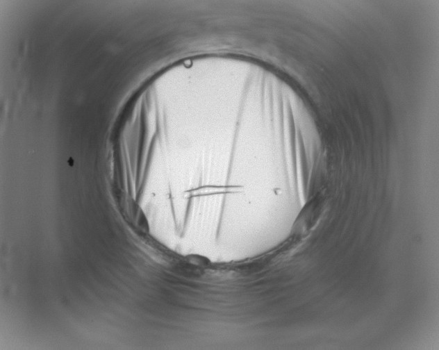 X0000074211509200609221928