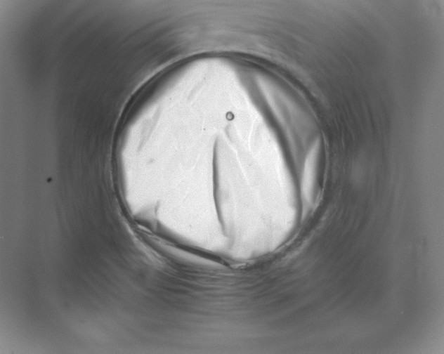 X0000074211513200609221928