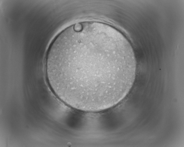 X0000074211514200609221928