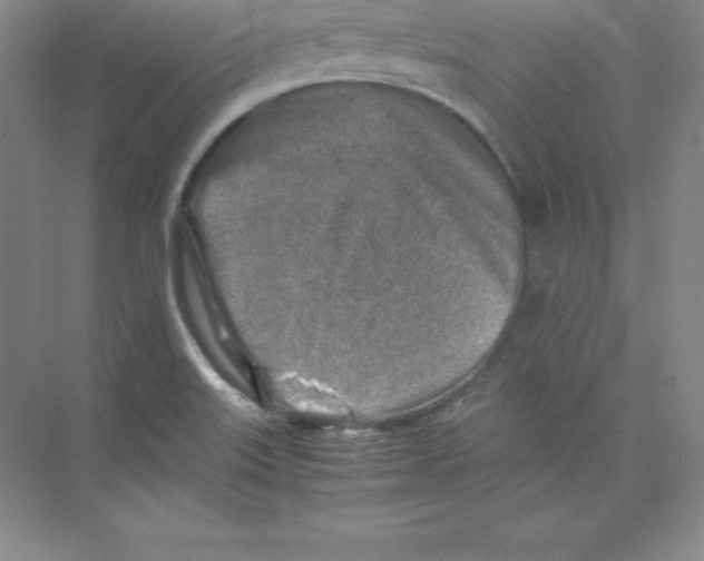 X0000074211515200609221928