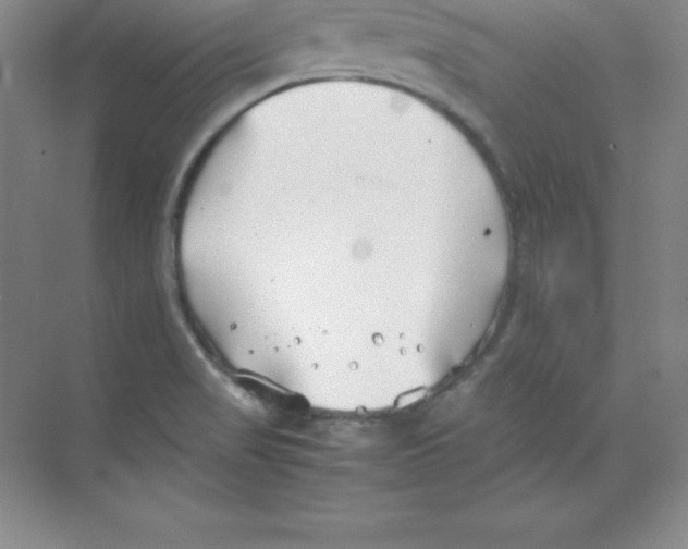 X0000074211517200609221928