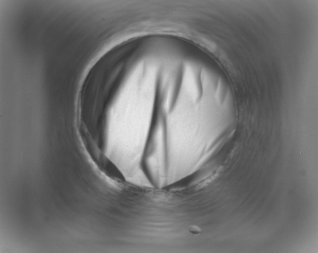 X0000074211520200609221928