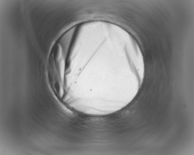 X0000074211525200609221928