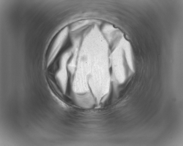 X0000074211527200609221928