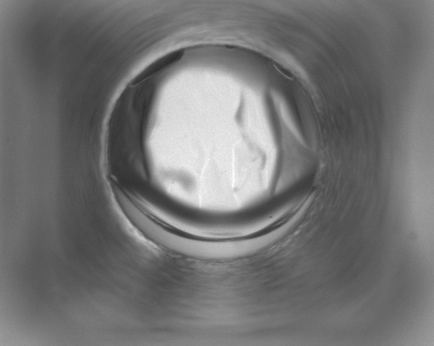 X0000074211528200609221928