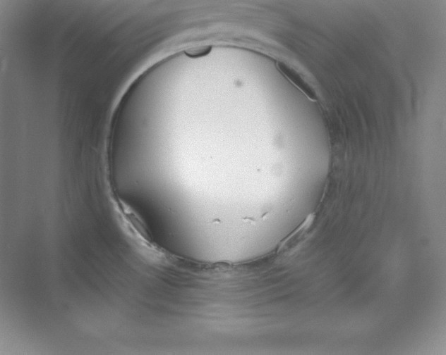 X0000074211530200609221928