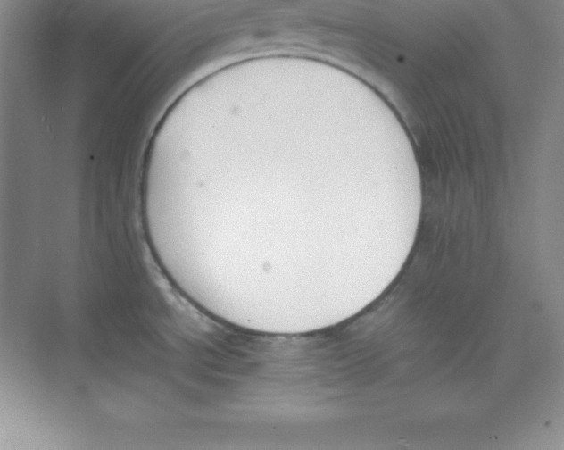 X0000074211534200609221928