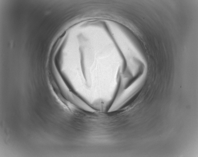 X0000074211536200609221928