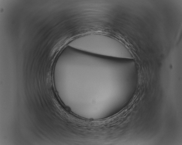 X0000074220002200608250815