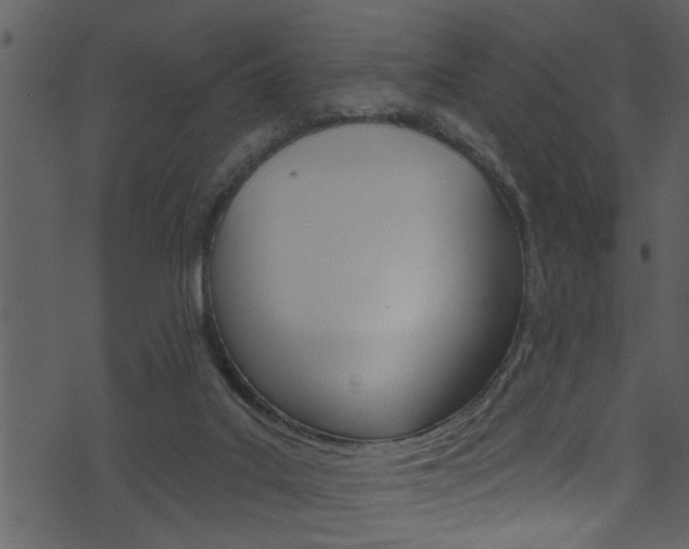 X0000074220019200608250814