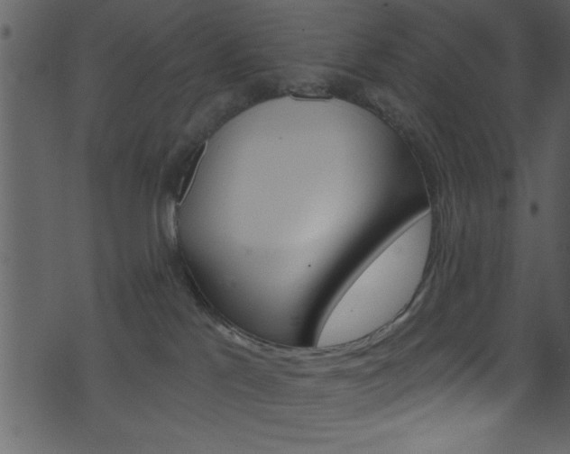 X0000074220041200608250814