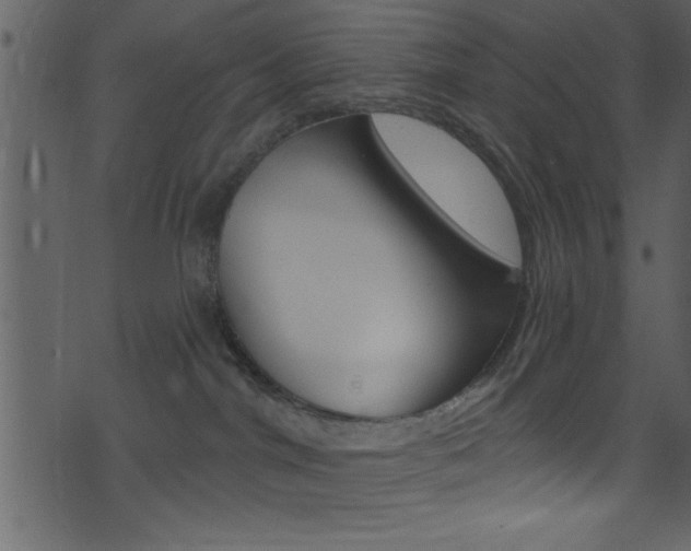 X0000074220044200608250814