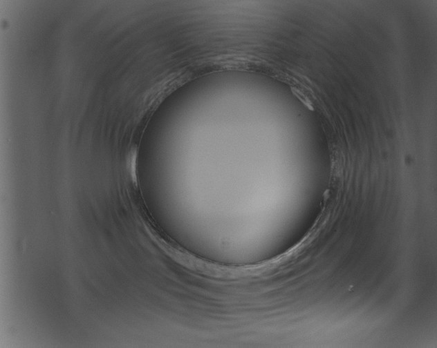 X0000074220047200608250814