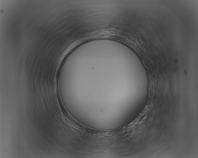 X0000074220100200608250813