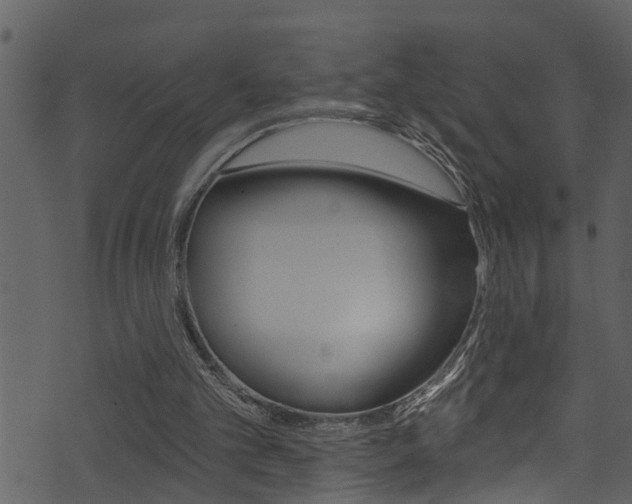 X0000074220101200608250813