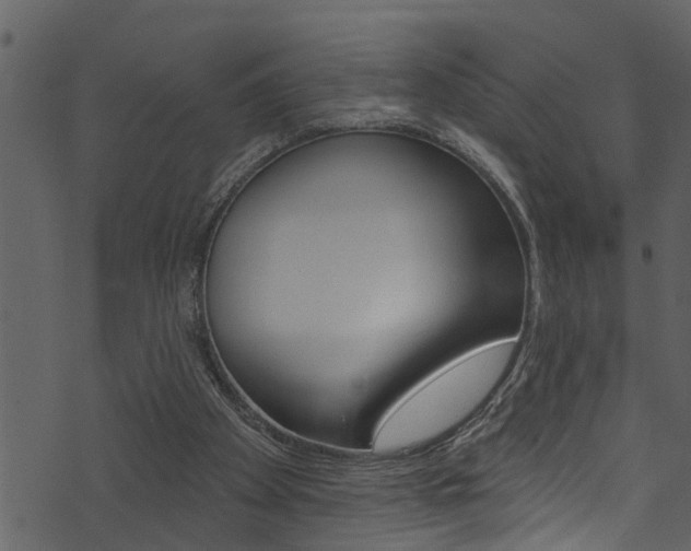 X0000074220105200608250813