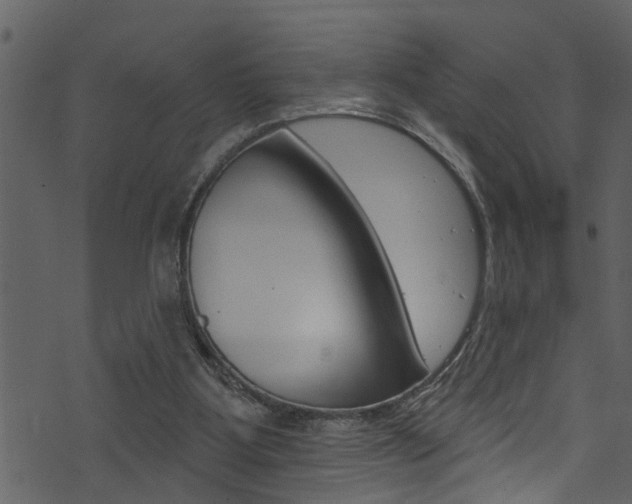 X0000074220107200608250813