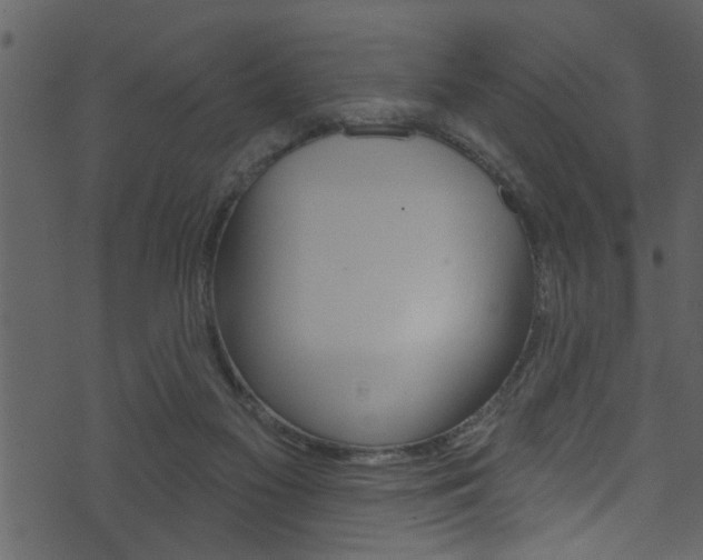 X0000074220117200608250813