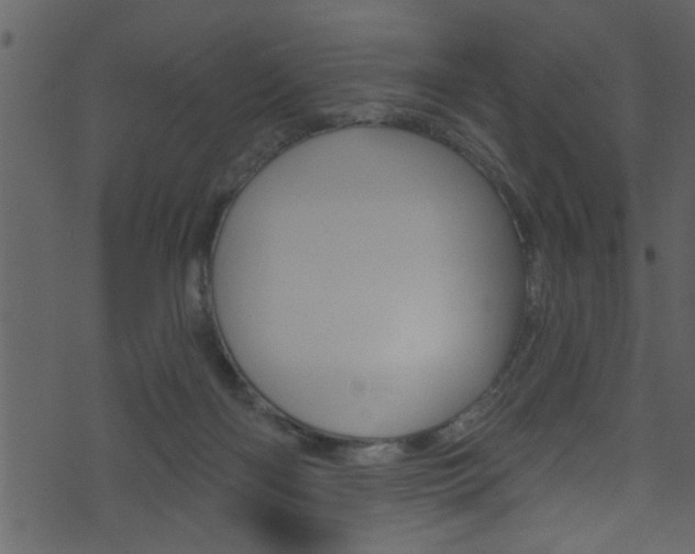 X0000074220122200608250813