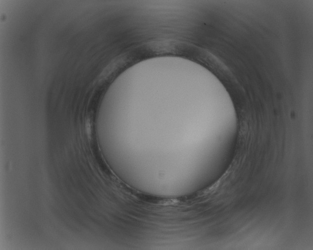 X0000074220124200608250813