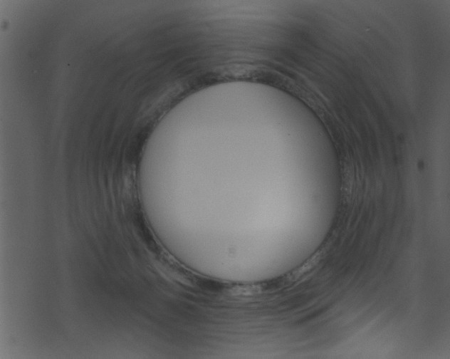 X0000074220126200608250813