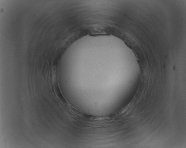 X0000074220129200608250813
