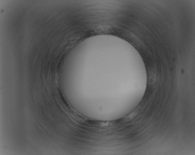 X0000074220130200608250813