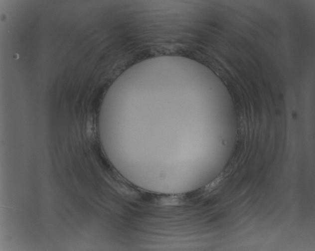 X0000074220134200608250813