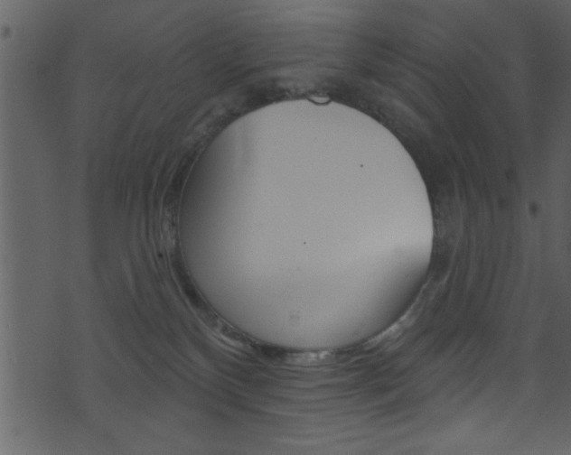 X0000074220136200608250812