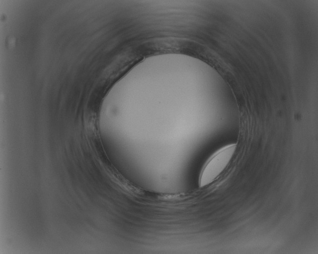 X0000074220141200608250812