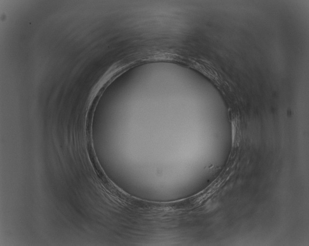 X0000074220195200608250812