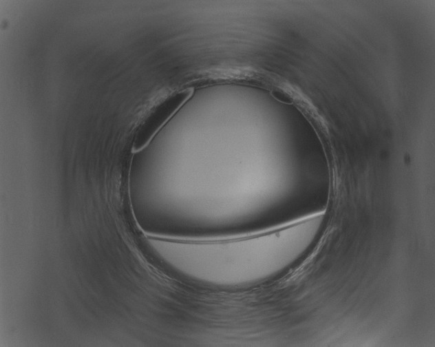 X0000074220201200608250811
