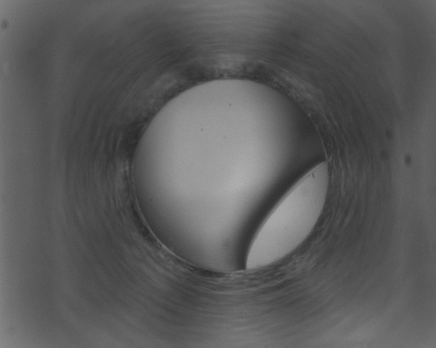 X0000074220225200608250811