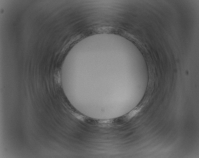X0000074220240200608250811