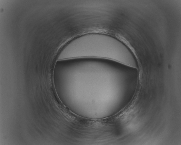X0000074220249200608250810